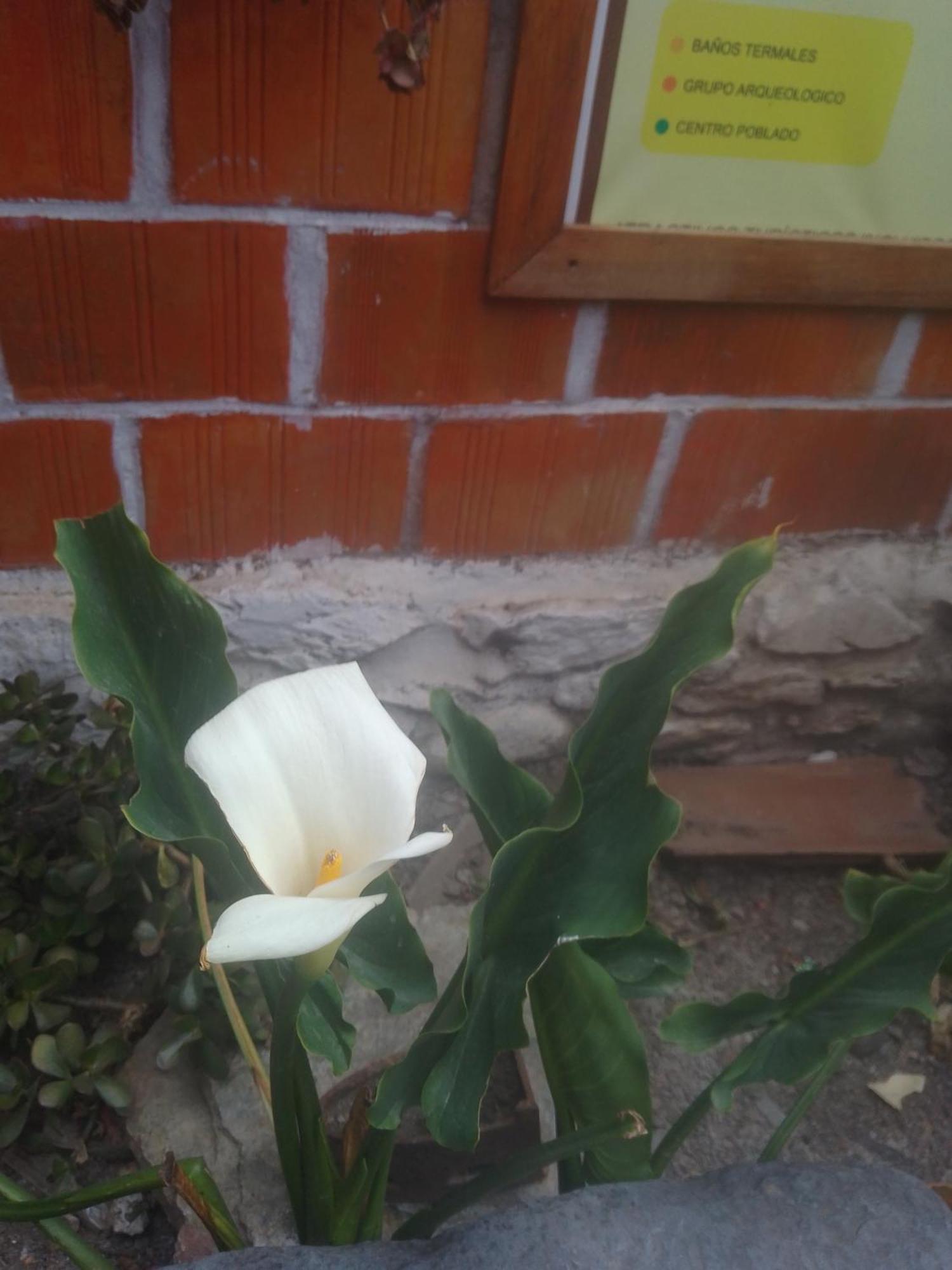 Hostal Raymi โอยานไตตามโบ ภายนอก รูปภาพ